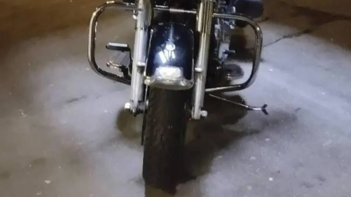 Harley-Davidson 1584 Street Glide (2008 - 10) - FLHX 