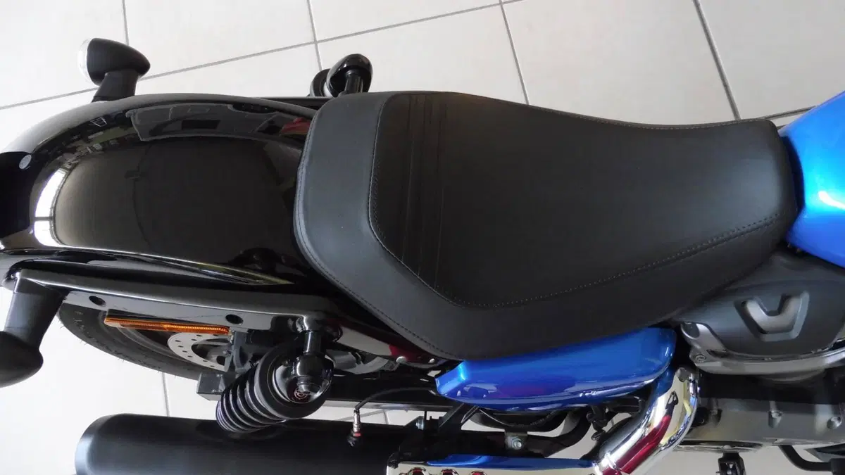 Harley-Davidson Nightster (2023 - 26)  (4)