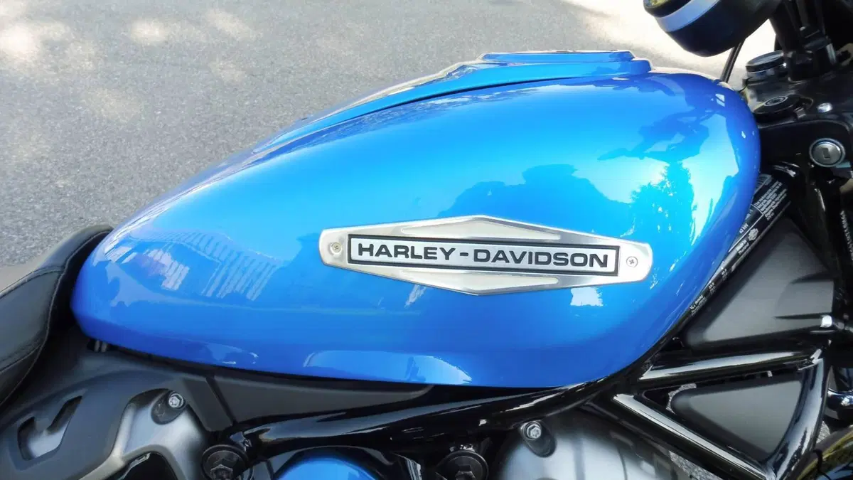 Harley-Davidson Nightster (2023 - 26)  (7)