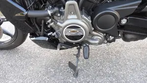 Harley-Davidson Nightster (2023 - 26)  (11)