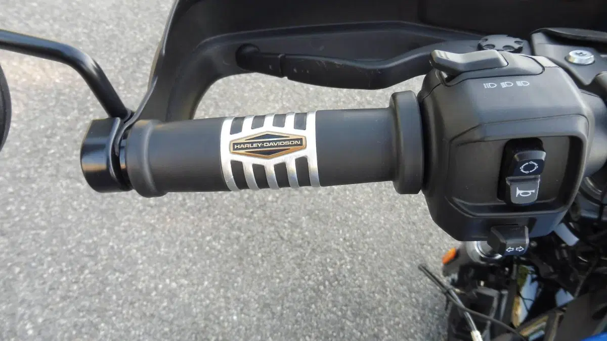 Harley-Davidson Nightster (2023 - 26)  (12)