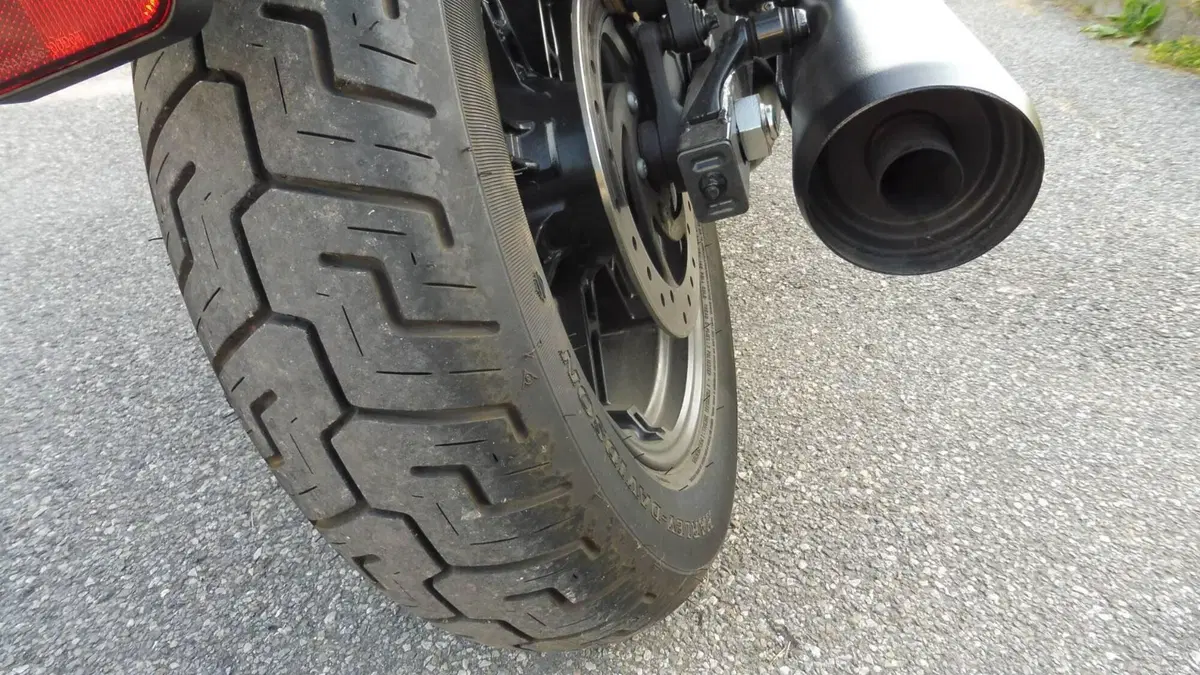 Harley-Davidson Nightster (2023 - 26)  (14)