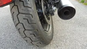 Harley-Davidson Nightster (2023 - 26)  (14)