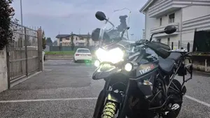 Triumph Tiger 800 XC (2015 - 17)  (11)
