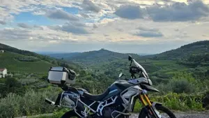 Triumph Tiger 900 Rally Pro (2020 - 23)  (3)