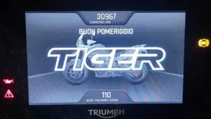 Triumph Tiger 900 Rally Pro (2020 - 23)  (4)