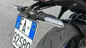 Kawasaki Z 650 (2021 - 24)  (2)