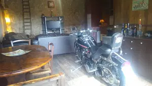 Harley-Davidson 1340 Custom (1989 - 98)  (2)