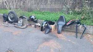 Harley-Davidson 1340 Custom (1989 - 98)  (3)