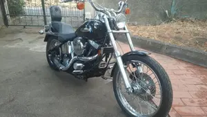 Harley-Davidson 1340 Custom (1989 - 98)  (5)