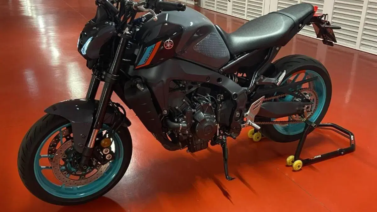 Yamaha MT-09 (2021 - 23)  (4)