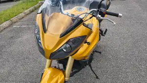 Triumph Tiger 1050 (2006 - 12)  (4)
