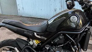 Benelli Leoncino 500 Trail (2021 - 26)  (3)