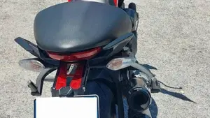 Ducati Monster 821 ABS (2014 - 17)  (2)