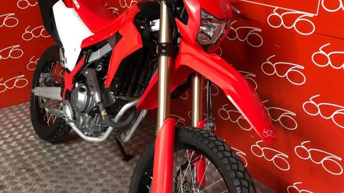 Honda CRF 300L (2021 - 24)  (2)
