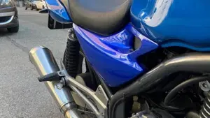 Kawasaki ER-5 500 (2001 - 06)  (7)