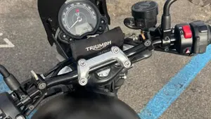 Triumph Speed Twin 900 (2023 - 24)  (10)