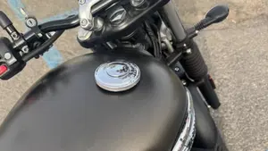 Triumph Speed Twin 900 (2023 - 24)  (15)