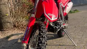 Honda CRF 250RX (2019)  (3)