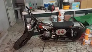 Moto Guzzi   (8)