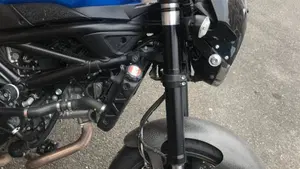 Suzuki SV 650 (2016 - 20)  (7)