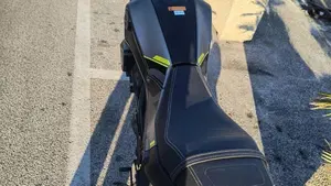 Benelli Leoncino 250 (2021 - 25)  (4)