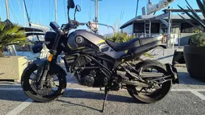 Benelli Leoncino 250 (2021 - 25)  (8)