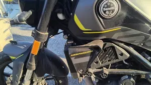 Benelli Leoncino 250 (2021 - 25)  (9)