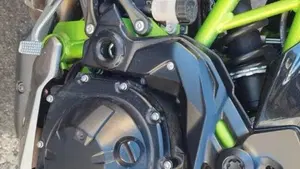 Kawasaki Z 900 (2020)  (9)