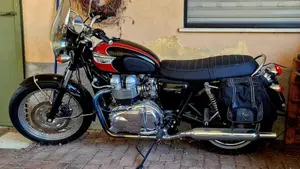 Triumph Bonneville T100 (2001 - 07)  (2)