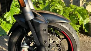 Ducati Multistrada 1260 S (2018 - 20)  (6)