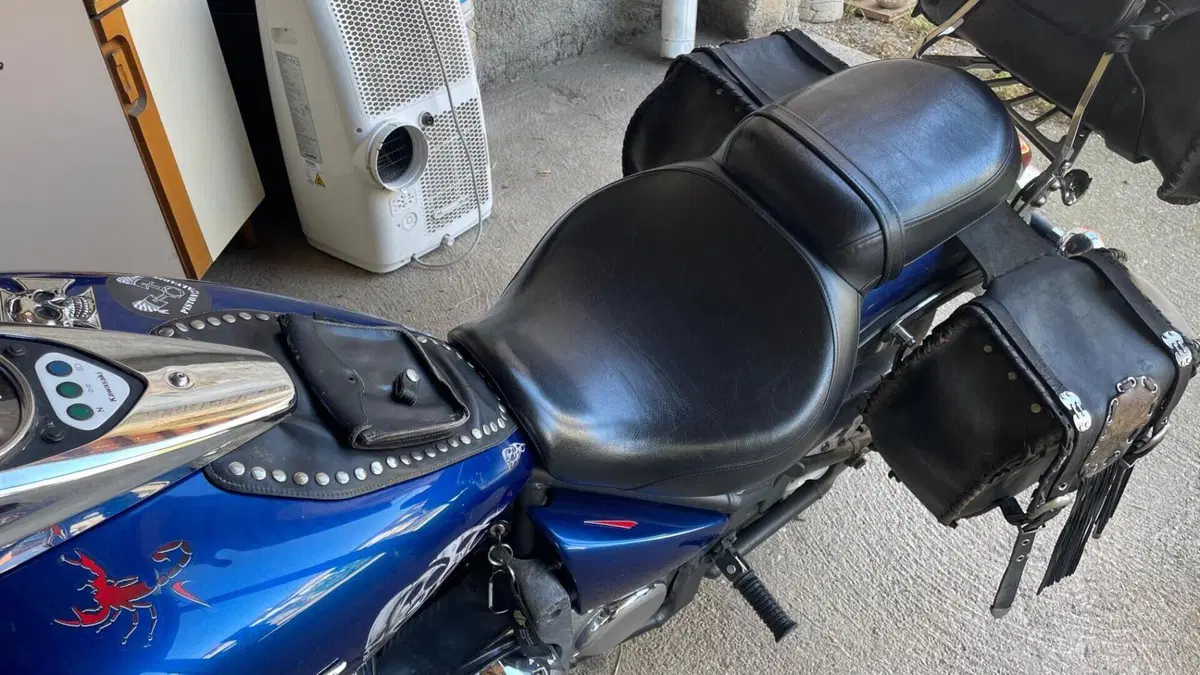 Kawasaki Vulcan VN 900 Classic (2006 - 10)  (2)