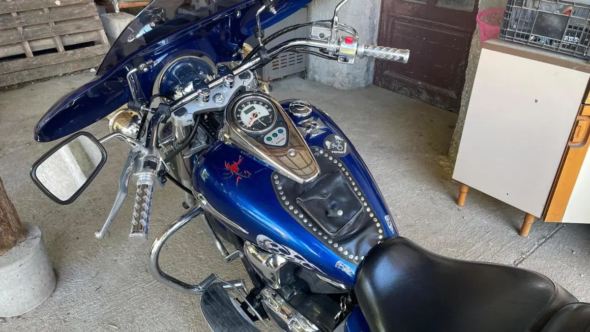 Kawasaki Vulcan VN 900 Classic (2006 - 10)  (3)