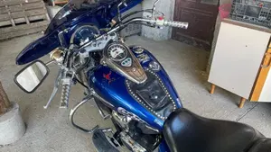 Kawasaki Vulcan VN 900 Classic (2006 - 10)  (3)