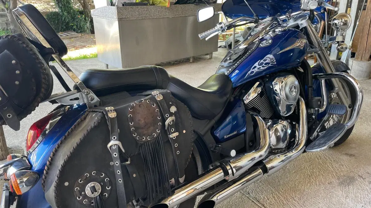 Kawasaki Vulcan VN 900 Classic (2006 - 10)  (5)