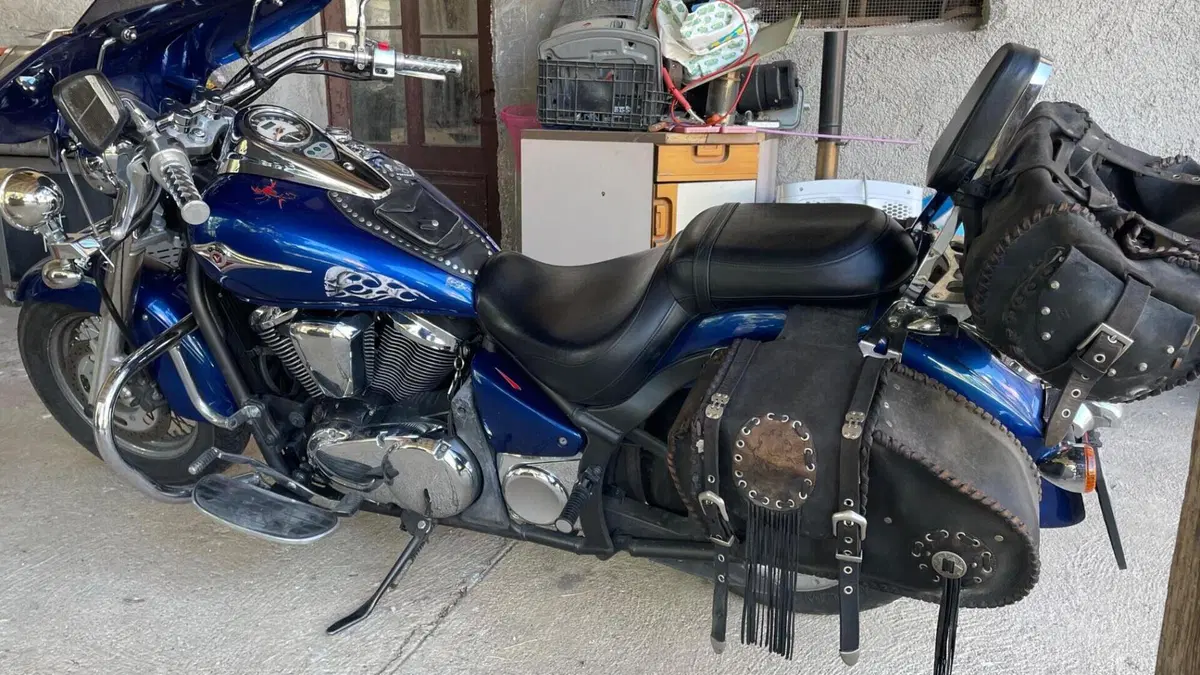 Kawasaki Vulcan VN 900 Classic (2006 - 10)  (6)