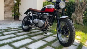 Triumph Scrambler (2006 - 17) usata