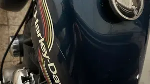 Harley-Davidson   (4)