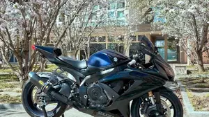 Suzuki GSX R 600 (2008 - 10) 