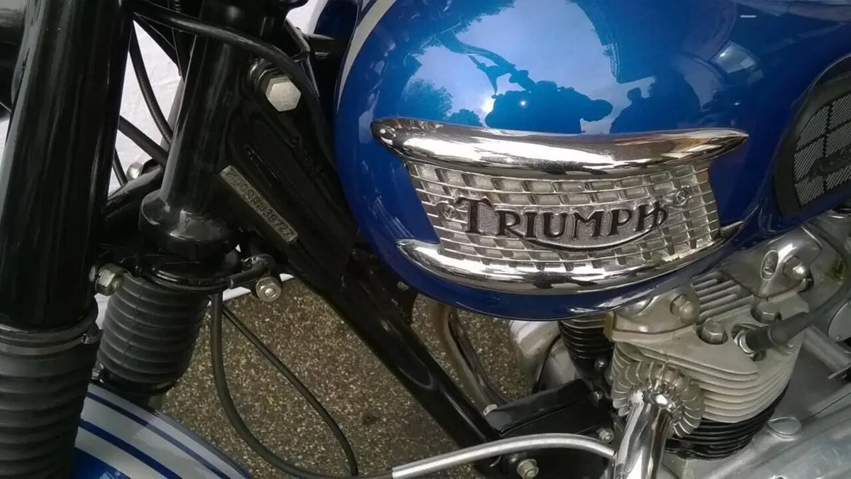 Triumph   (3)