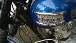 Triumph   (3)