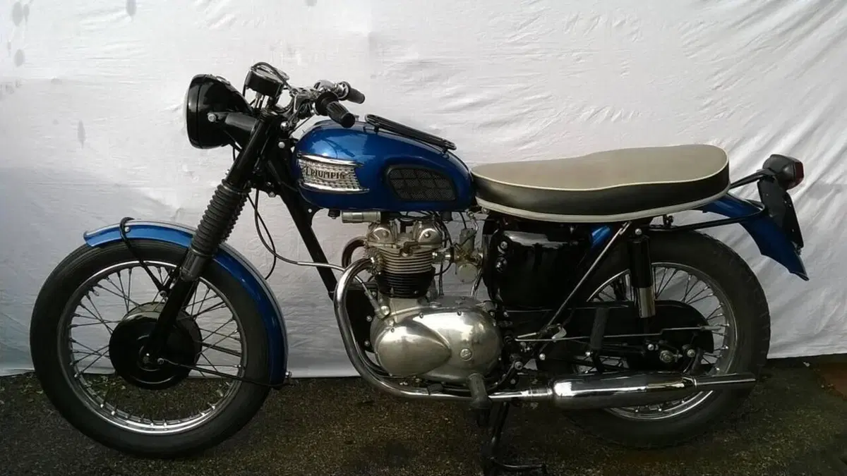 Triumph   (4)