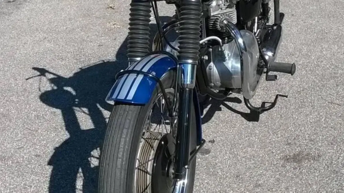 Triumph   (7)