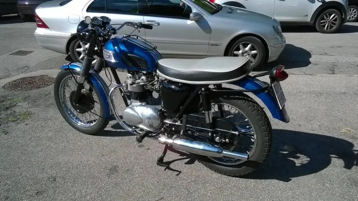 Triumph   (8)