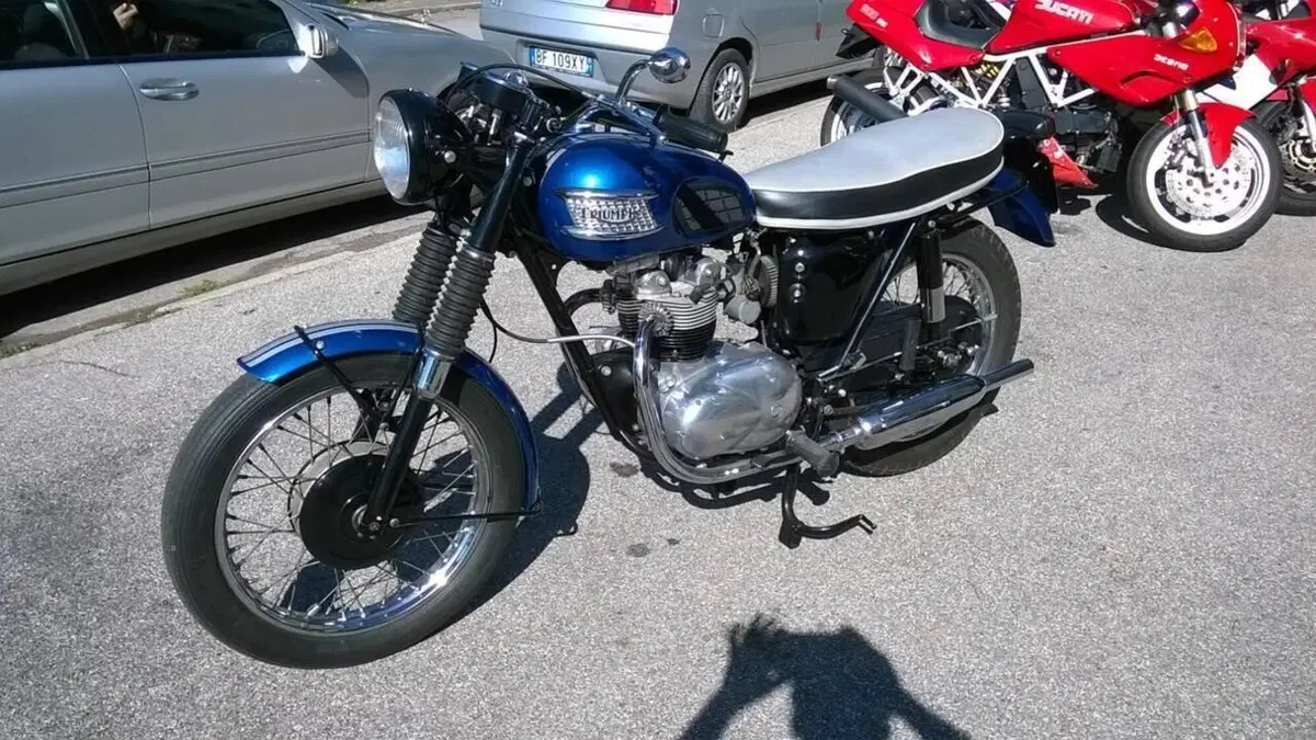 Triumph   (9)