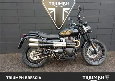 Triumph Scrambler 900 (2023 - 25) - Annuncio 9996203