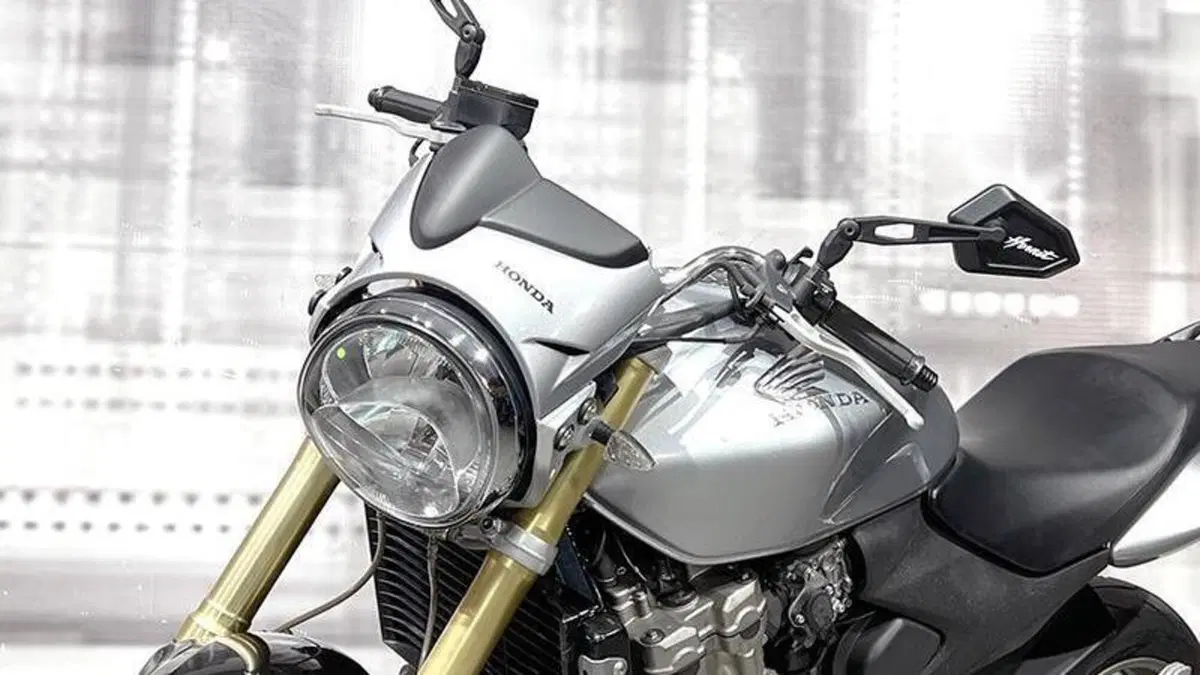 Honda Hornet 600 (2005 - 06)  (5)