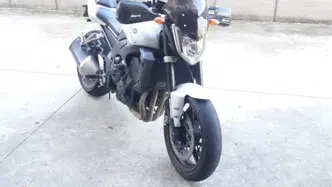 Yamaha FZ1 (2006 - 16) usata