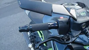 Kawasaki Z 900 Performance (2019)  (5)
