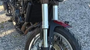 Benelli Leoncino 500 (2021 - 25) 
